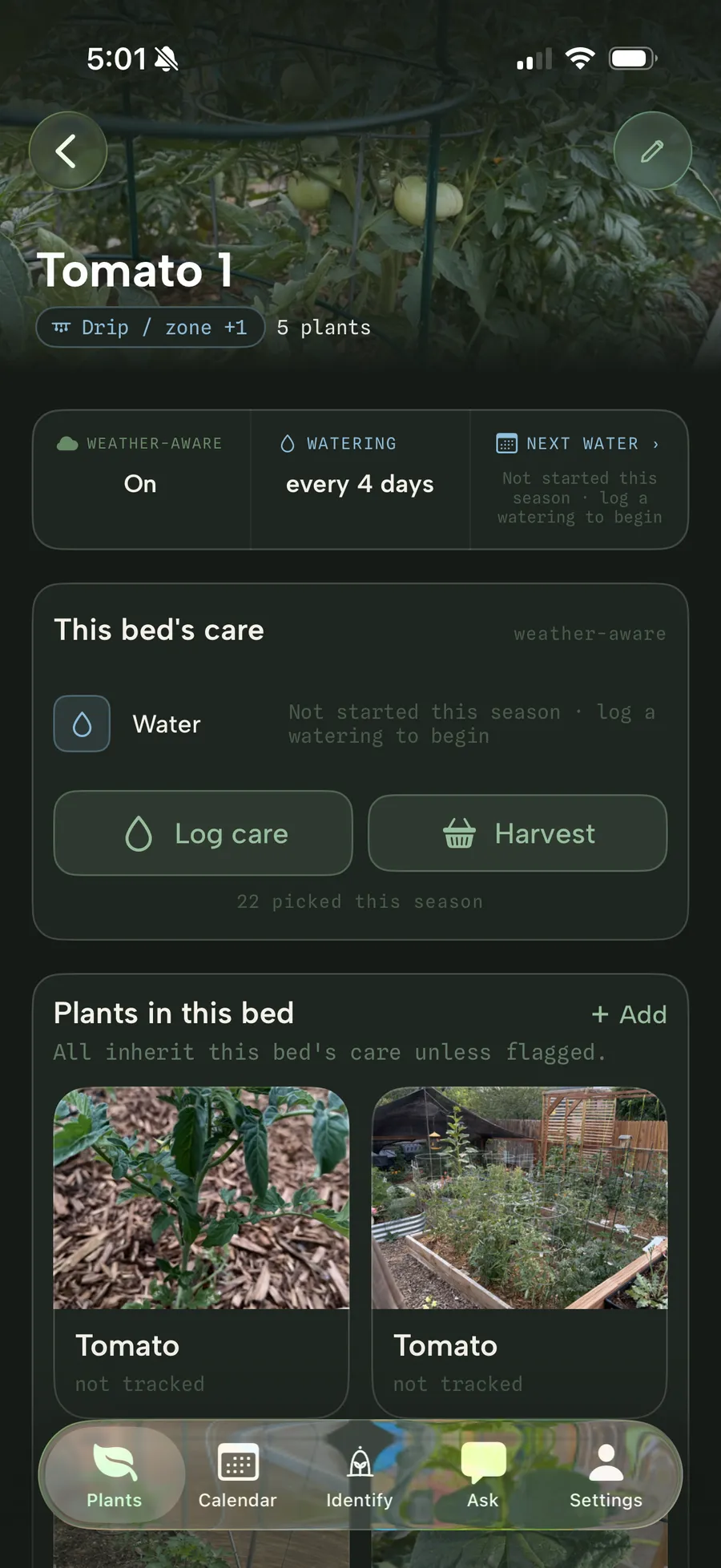 A garden bed, Tomato 1, on a drip zone with weather-aware care shared by its five plants