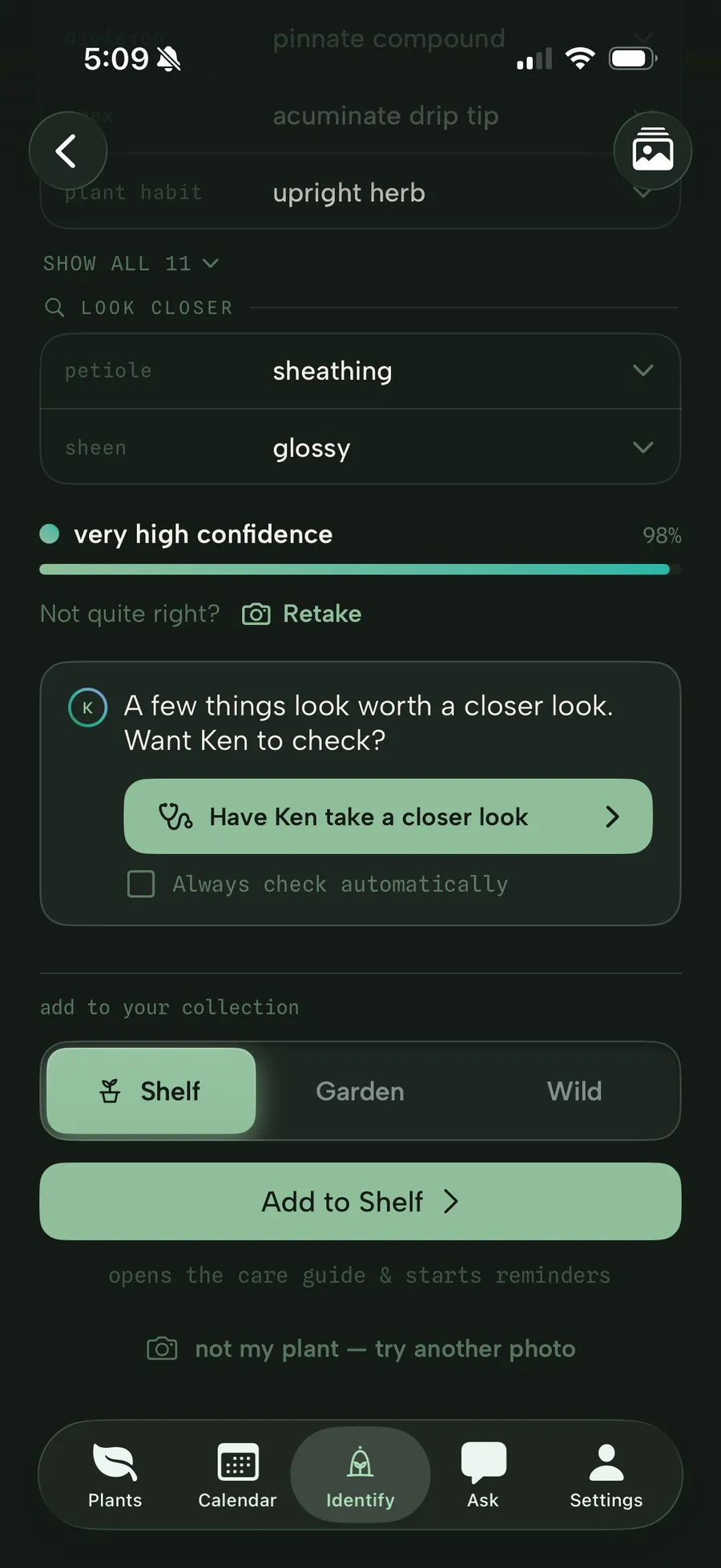 An on-device identification at 98%, very high confidence, with field marks read from the photo and ready to add to the Shelf