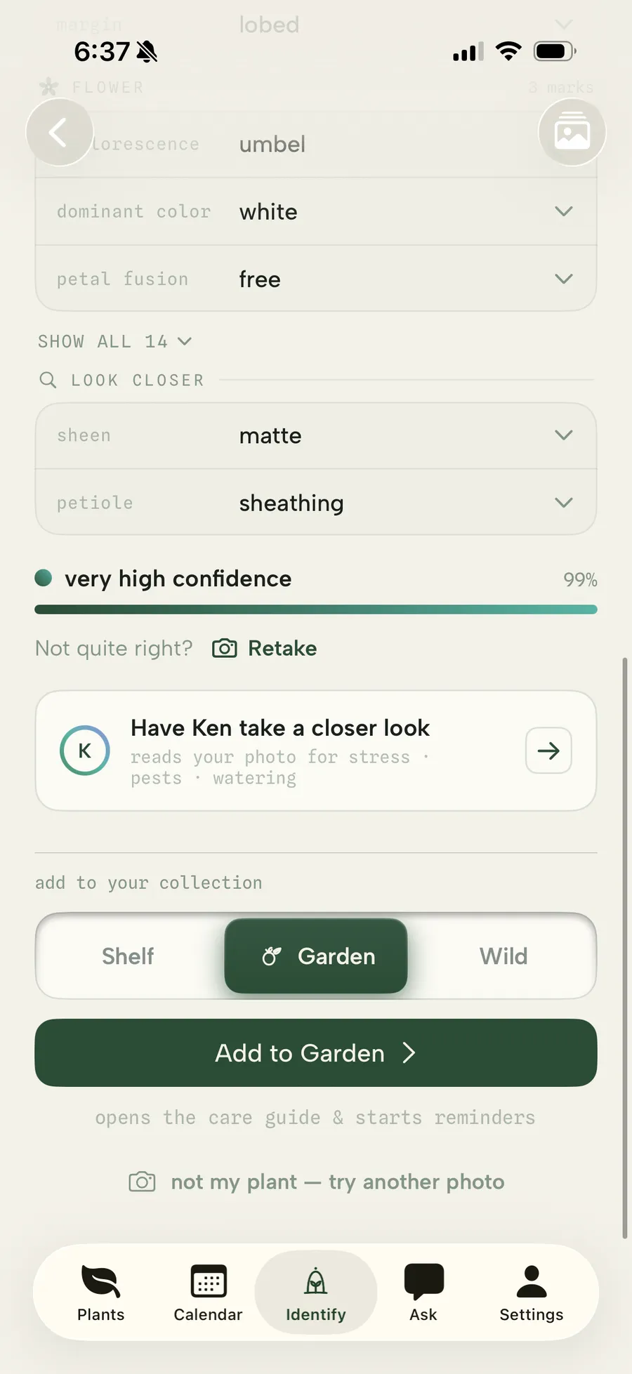 An on-device identification at 99%, very high confidence, with field marks read from the photo and ready to add to the Garden